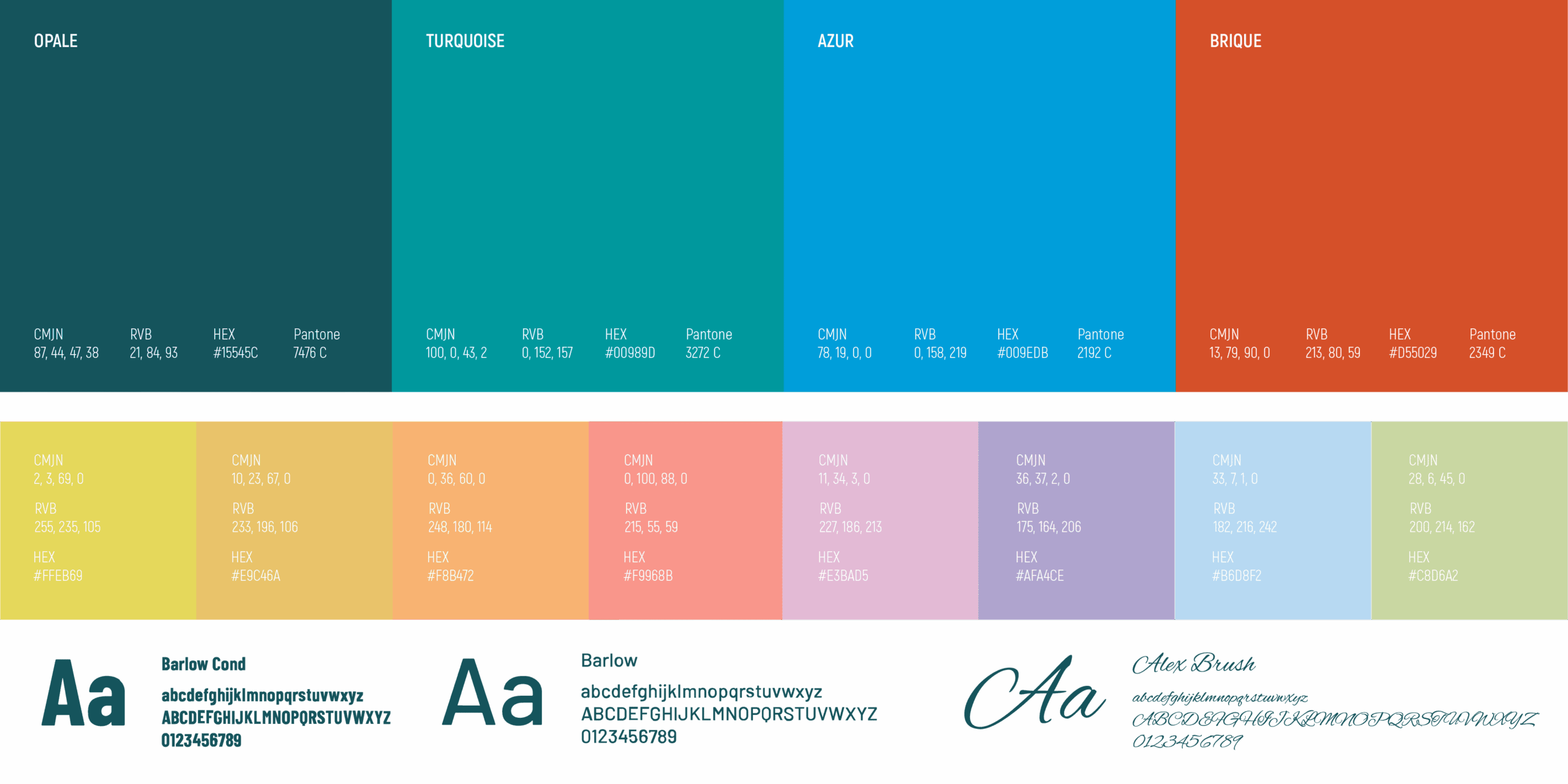 conception charte graphique mairie