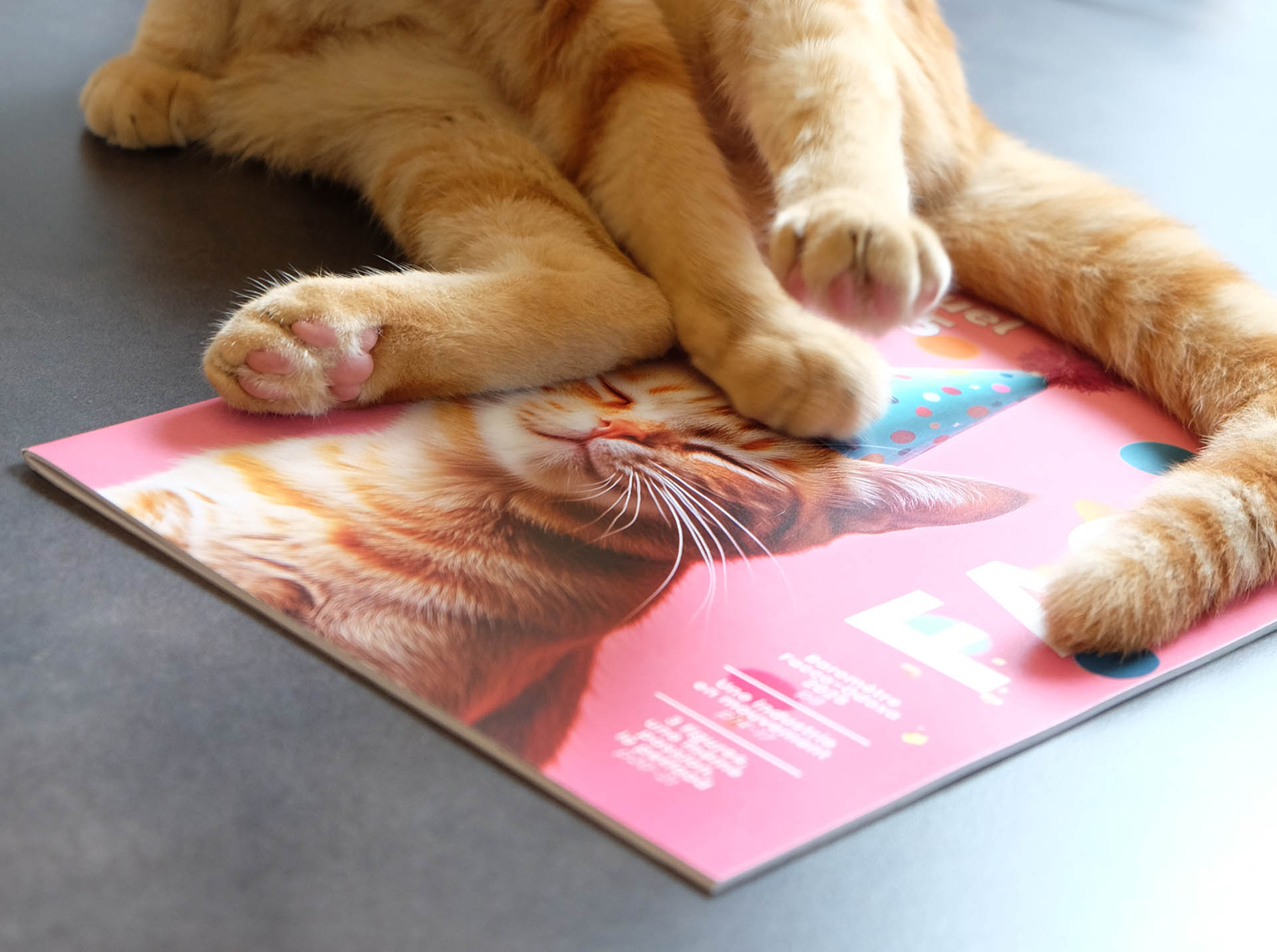 brochure facco